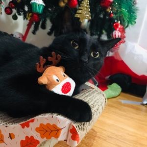 Meet your Posher, Isabell